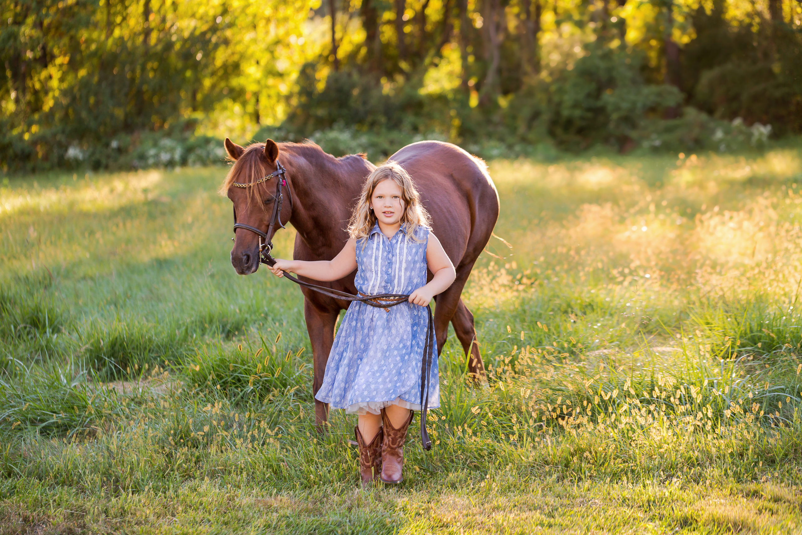 little girl in blue dress leading pony