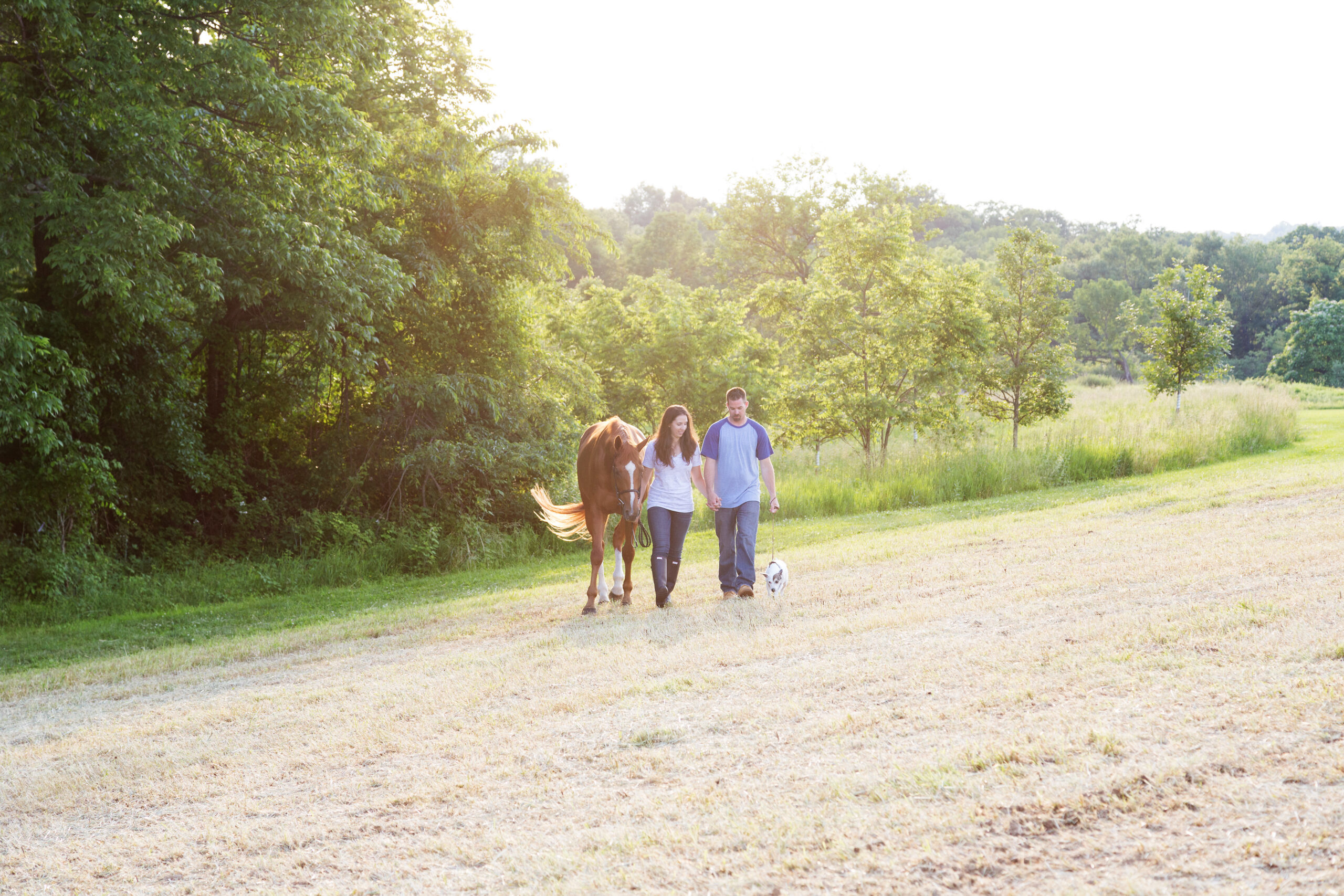 man and woman walking horse and dog