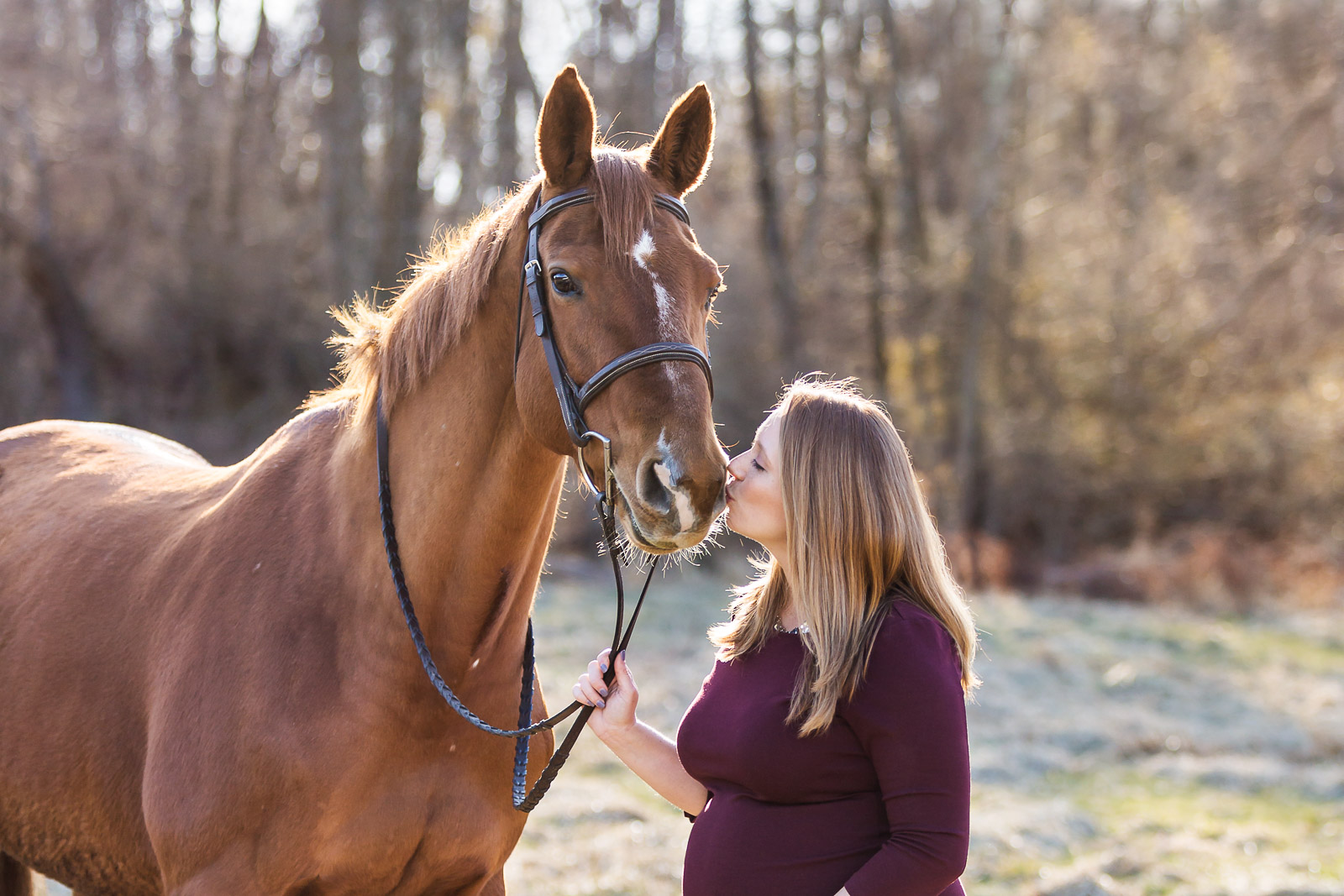 pregnant woman kissing chestnut mare