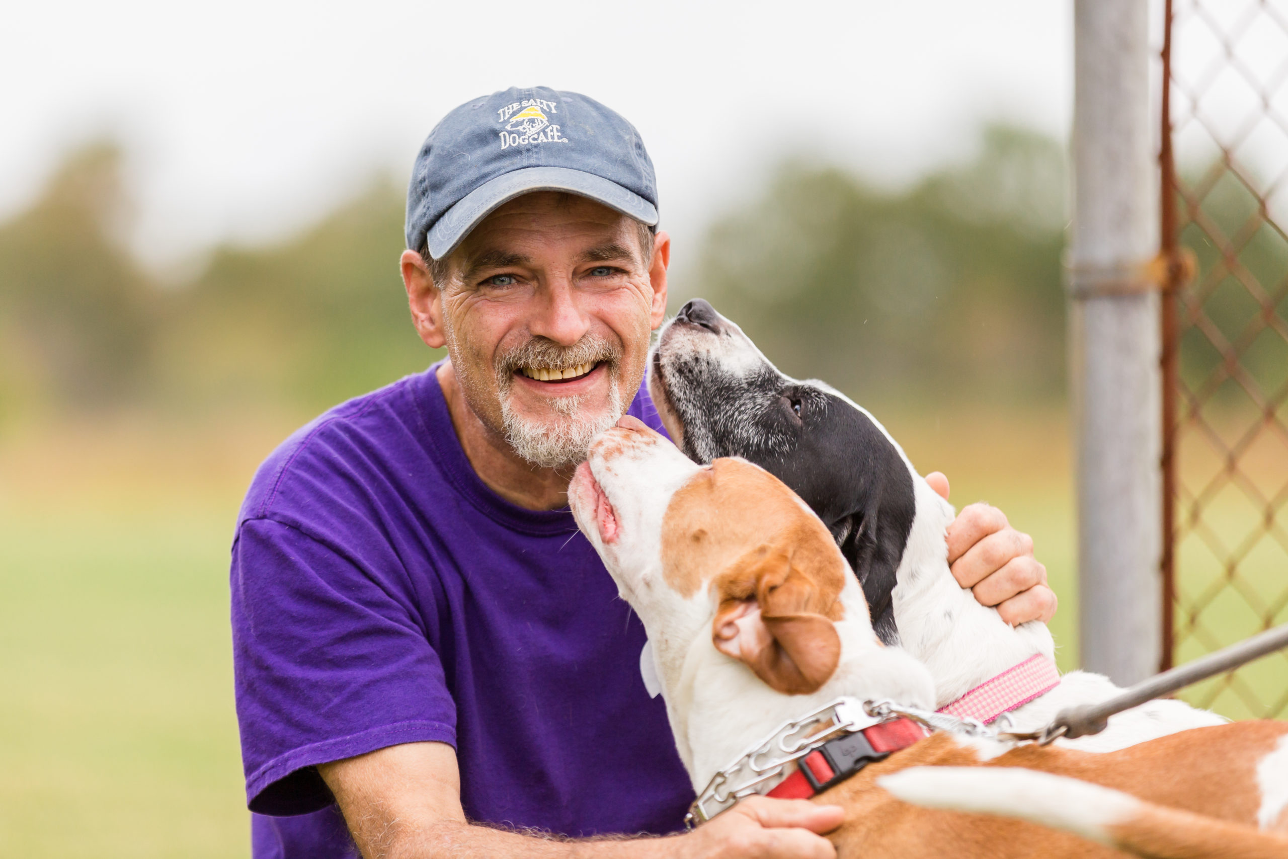 man in purple hat with dogs