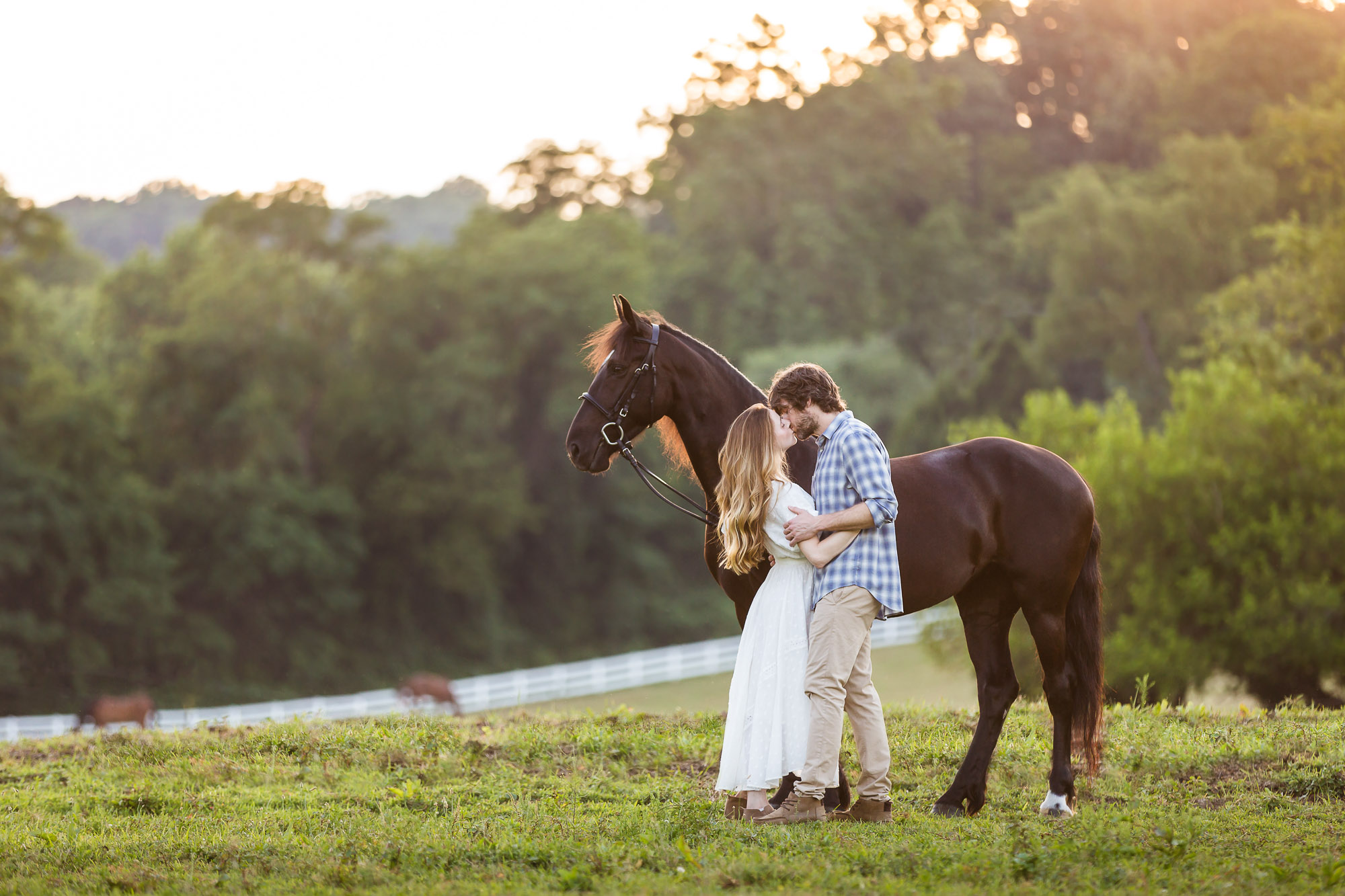 man and woman kissing in front of horse in field