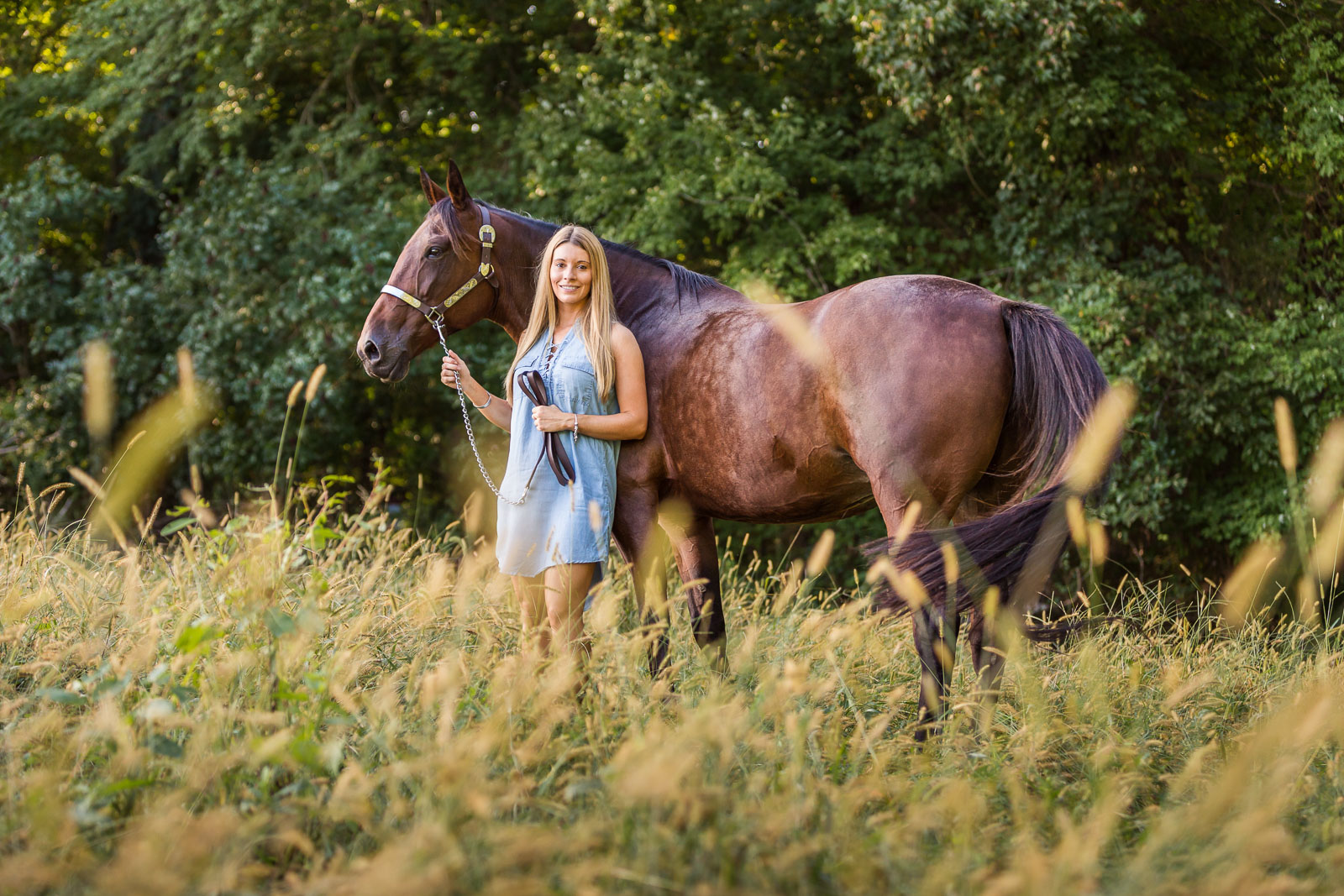 woman holding bay horse in a wheat field