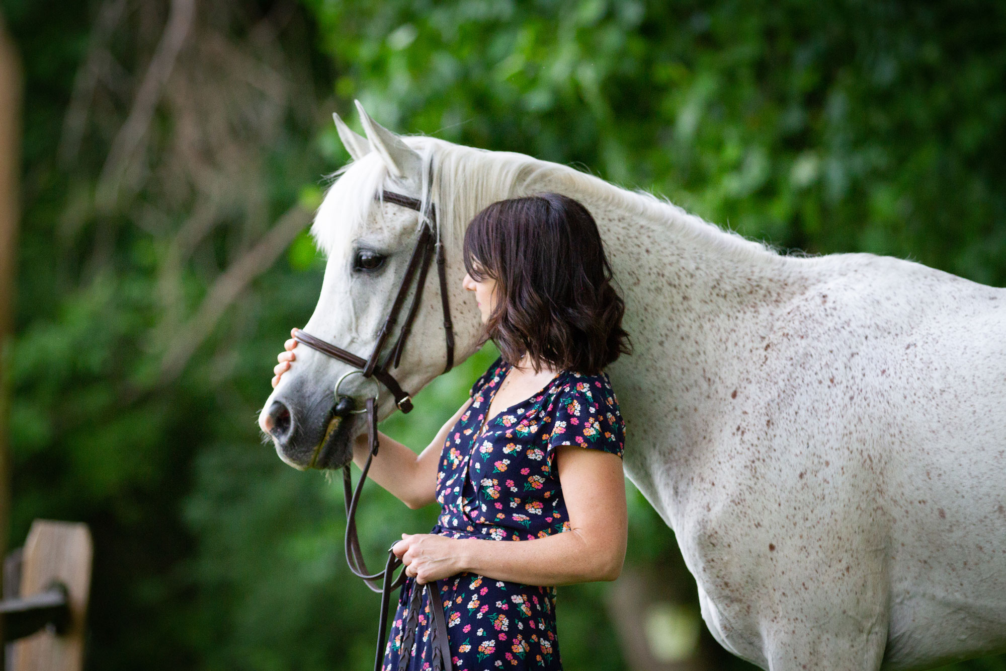 woman holding white horse