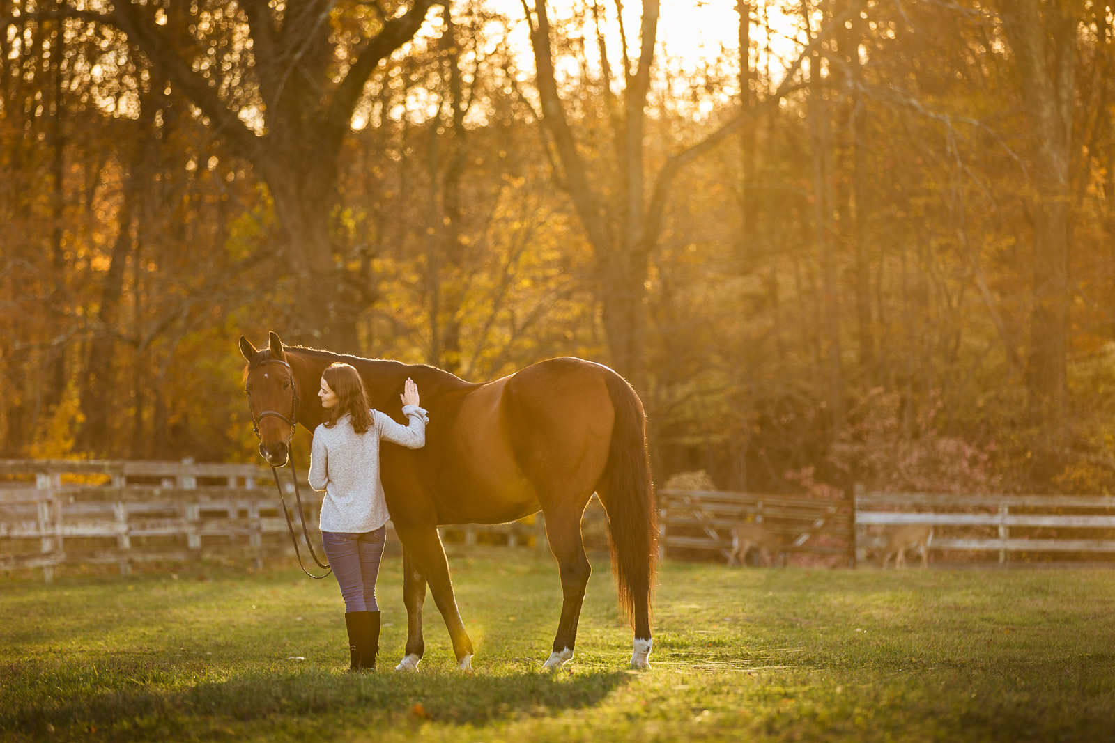 girl petting horse in field at Hunters Crossing Farm