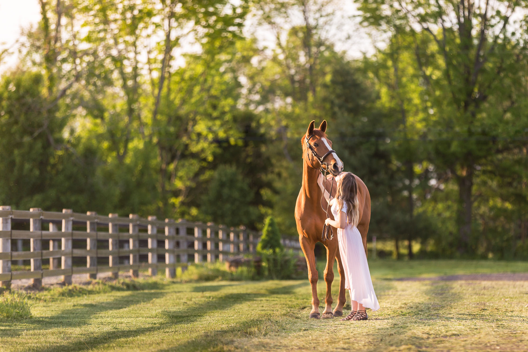 girl giving her horse a kiss
