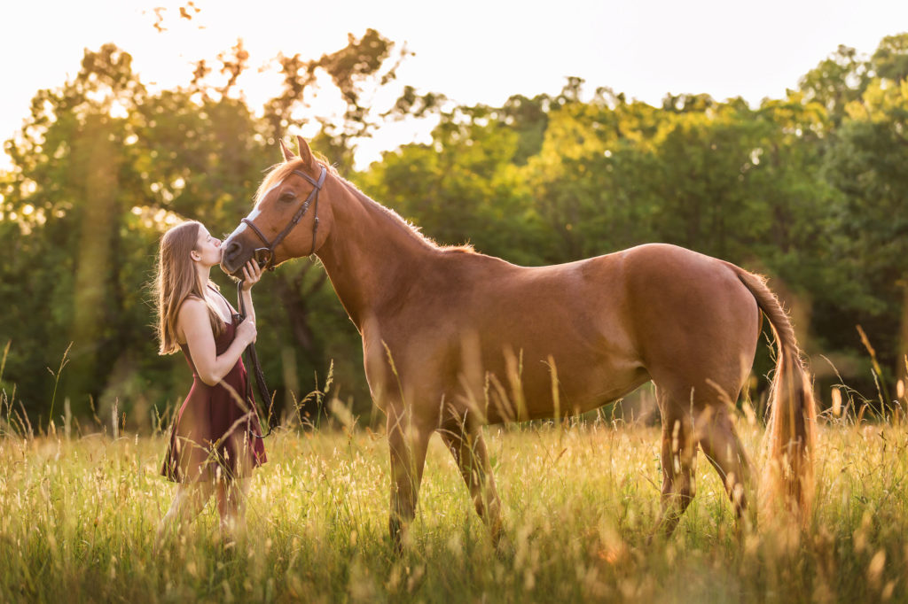 girl in burgundy dress kissing her chestnut mare in the sunset at The Black Fox Farm