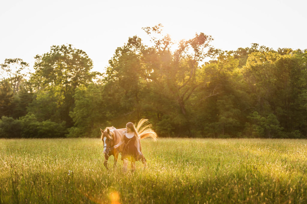 girl walking her horse through a field at sunset at The Black Fox Farm