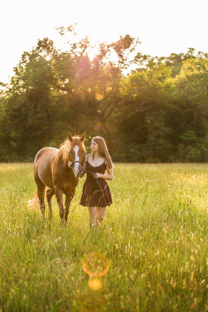 girl holding her horse in a sunny field