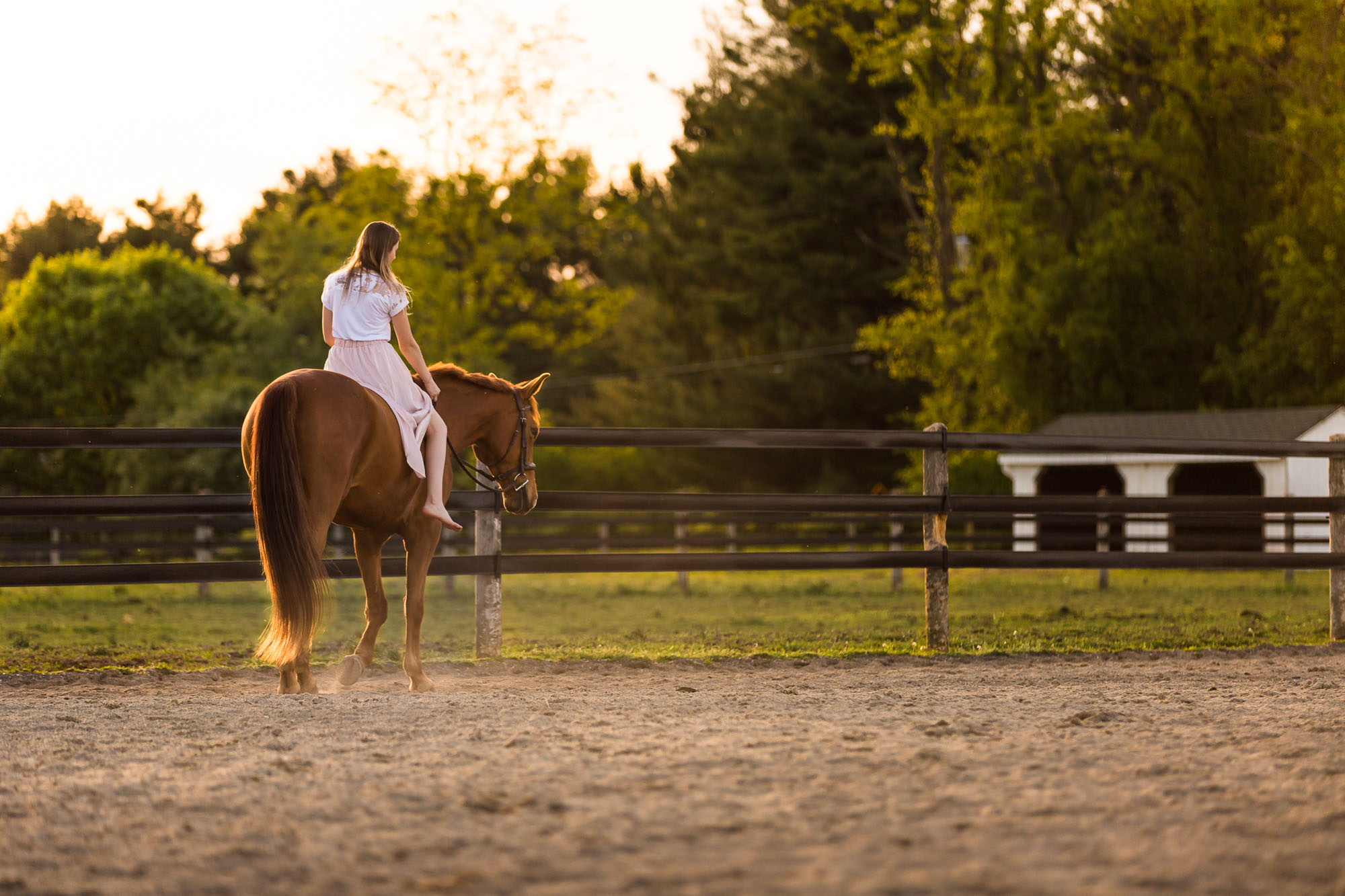 girl in pink skirt on horse in riding ring at Magnolia Creek Stables