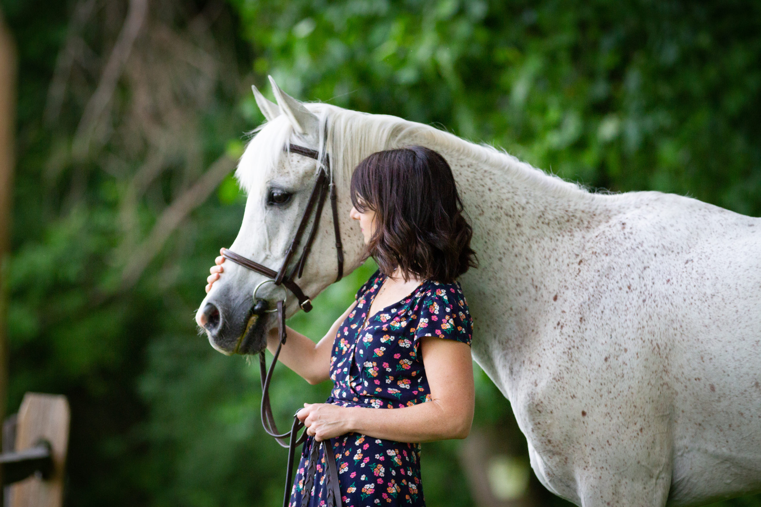 girl with white arabian horse