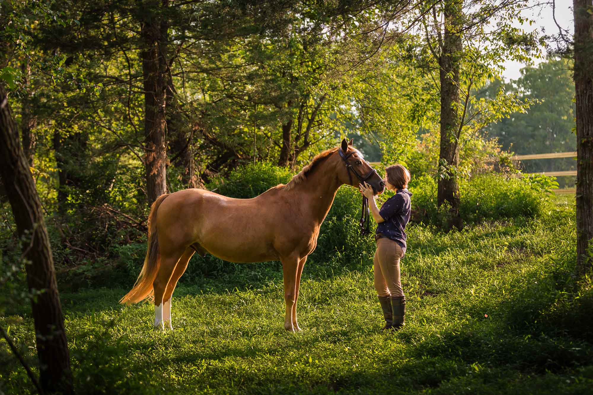 girl with chestnut horse in the woods at Chestnut Hollow Farm