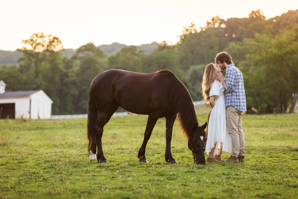 couple kissing in field with black horse at Great Scott Farm