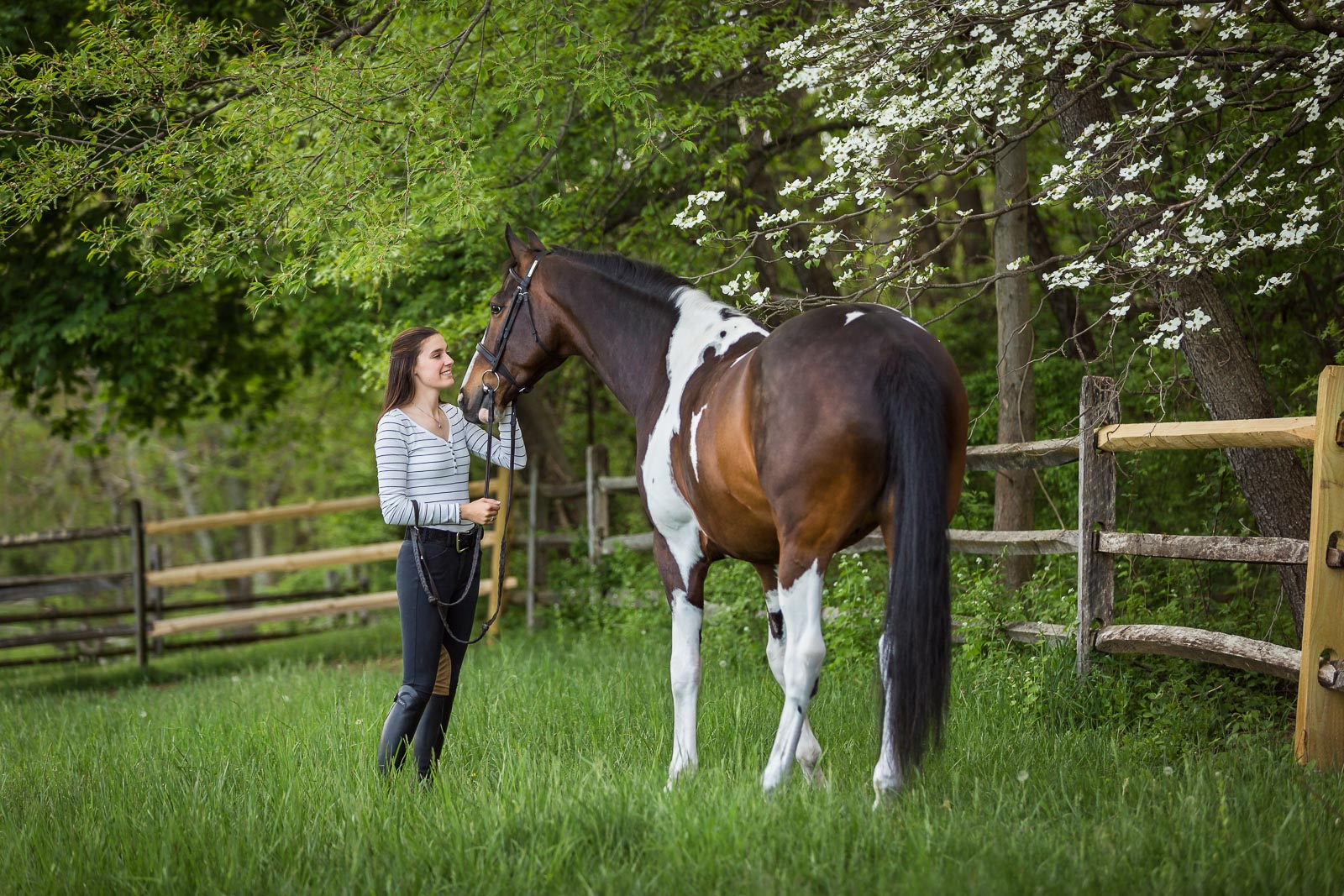 Redfield Farm, Califon, NJ Lauren & Graffiti Z