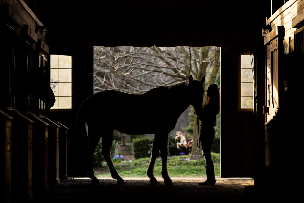 silhouette of woman with horse in barn aisle