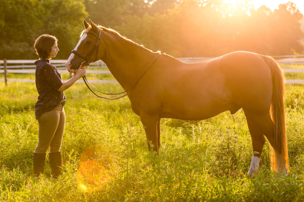 Allison & Dino at sunset in the paddock of Chestnut Hollow Farm