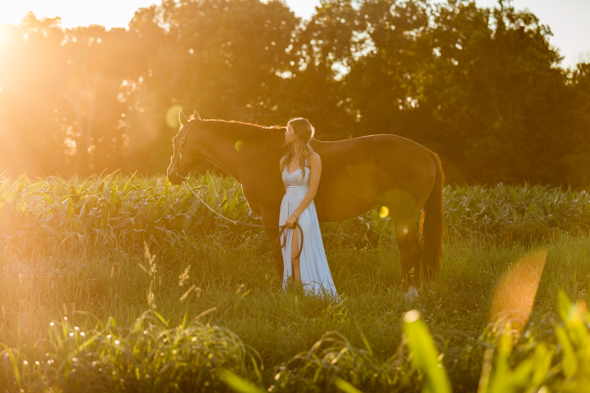 Alyssa and Ben in a corn field at sunset