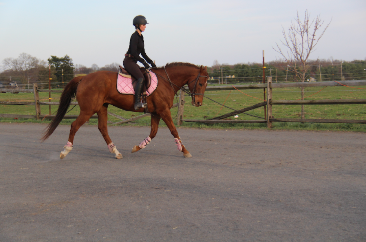 Alyssa trotting Ben