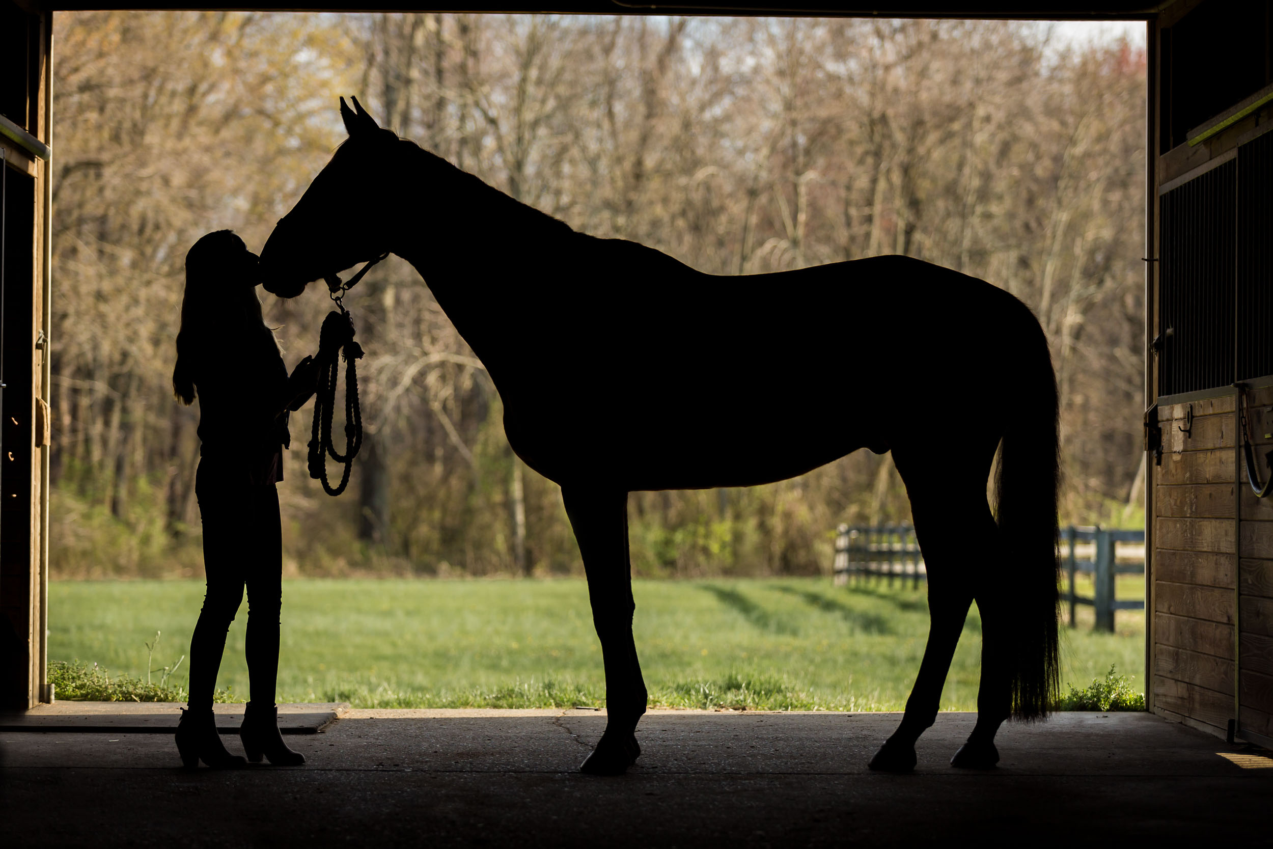 silhouette of Morgyn & Niro in the barn at Chesterfield Farm