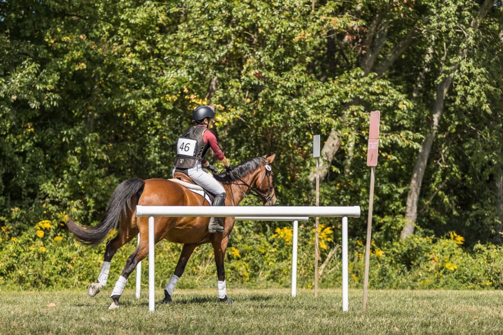 Maya eventing at Horse Park of New Jersey