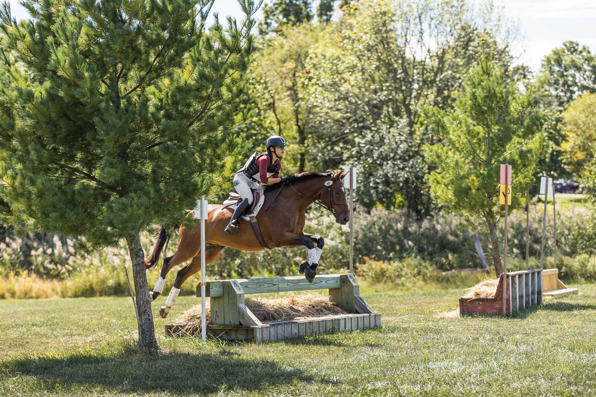 eventing at Horse Park of New Jersey